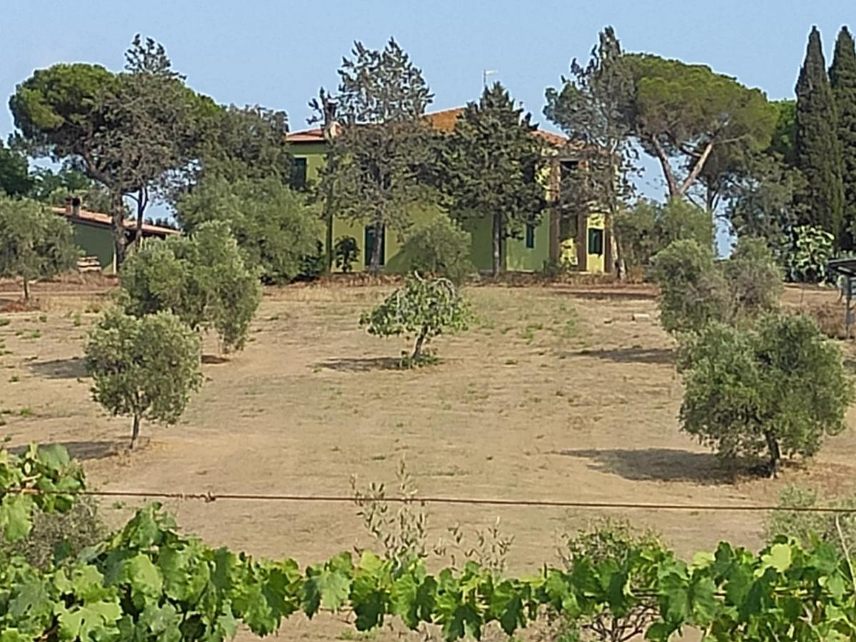 Agriturismo Poggio All'Olivo Follonica Exterior photo